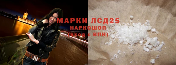 прущие грибы Михайловка