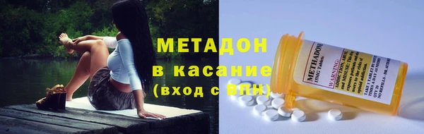 прущие грибы Михайловка