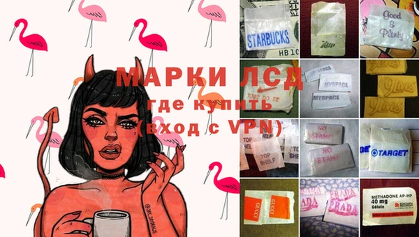 прущие грибы Михайловка