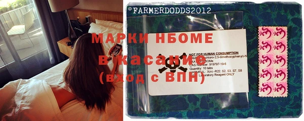 прущие грибы Михайловка