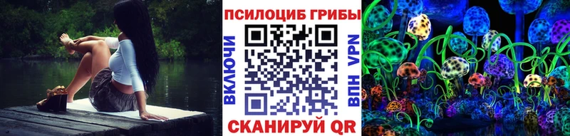 кракен зеркало  Кострома  Псилоцибиновые грибы мицелий 