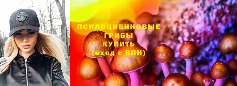 Псилоцибиновые грибы Magic Shrooms  Кострома 