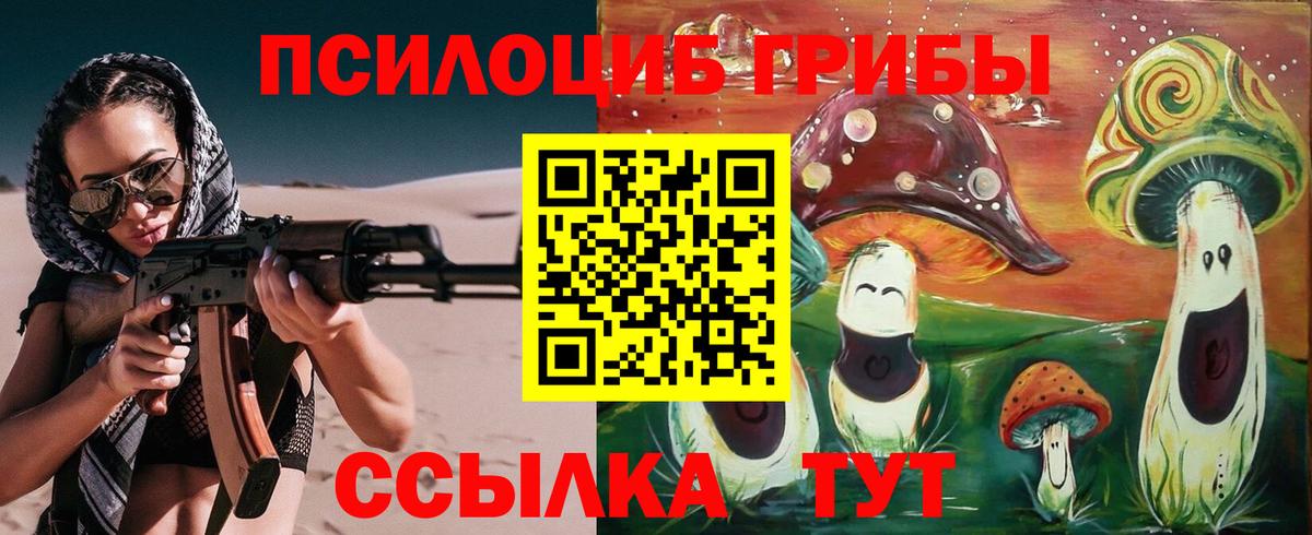 Псилоцибиновые грибы Cubensis  Вход с VPN  Кострома  Псилоцибиновые грибы Cubensis 