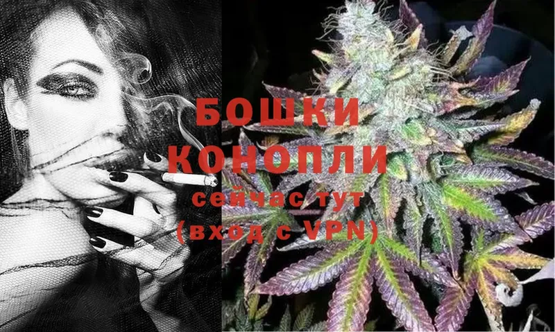 shop наркотические препараты  Кострома  Бошки марихуана Ganja 